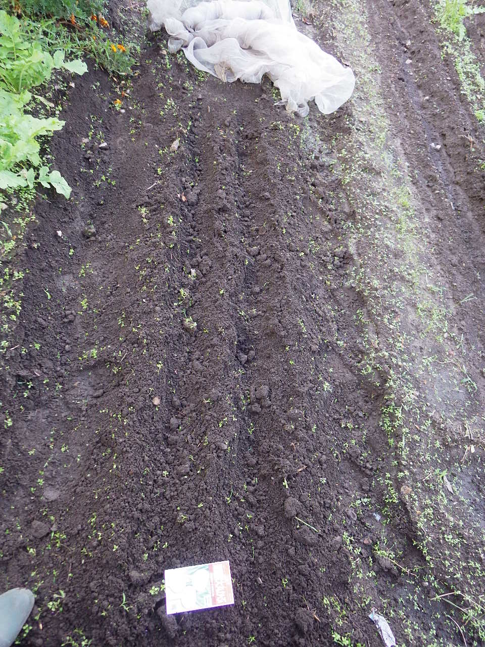 c0300035_9171089.jpg