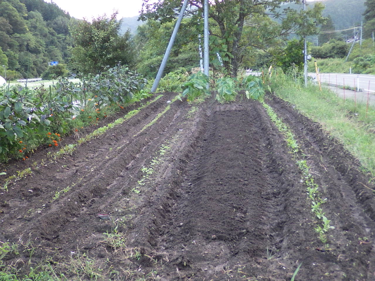 c0300035_9174693.jpg