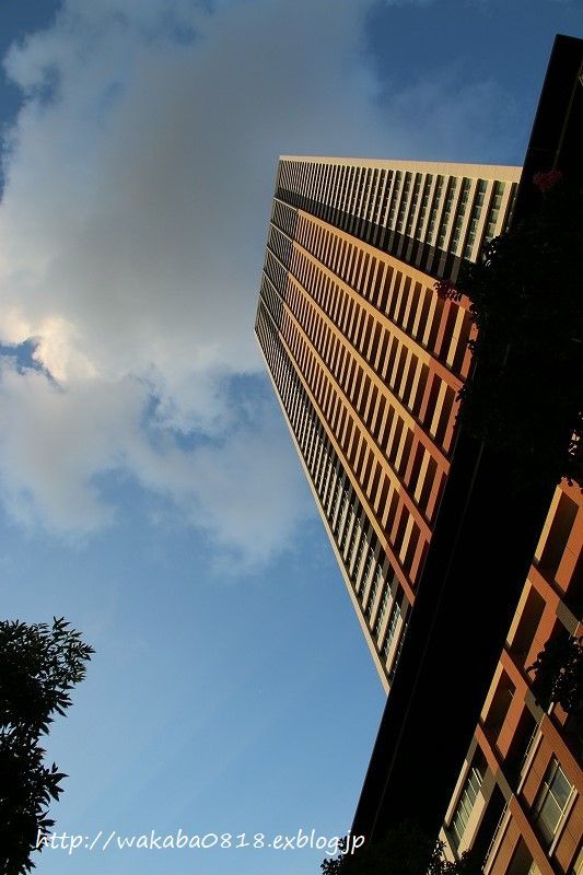 e0052135_19115601.jpg
