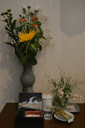 c0136736_18314741.gif