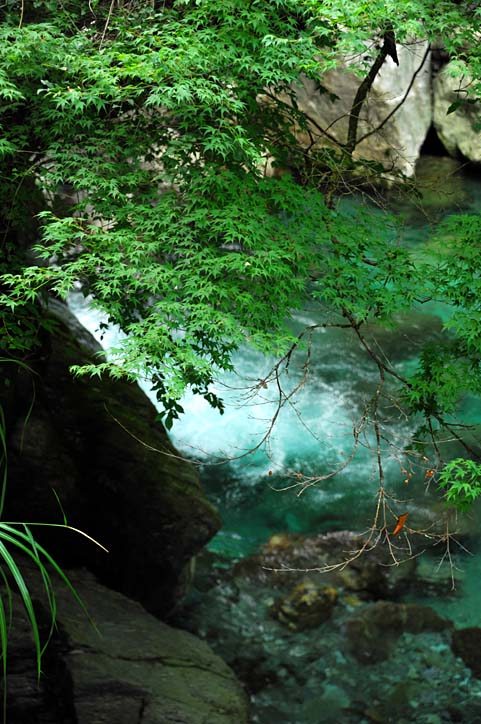 b0075541_139480.jpg