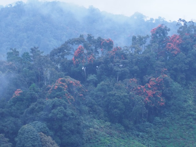 e0195345_1405531.jpg