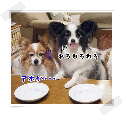 d0013149_23290307.jpg
