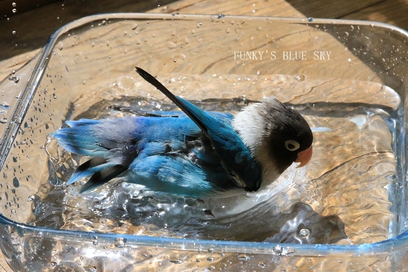 c0145250_10163744.jpg