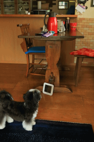 c0145250_10294663.gif