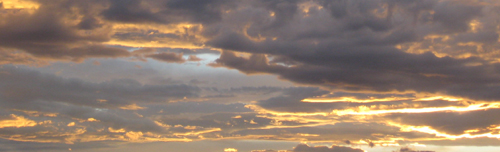 b0192672_14461659.jpg