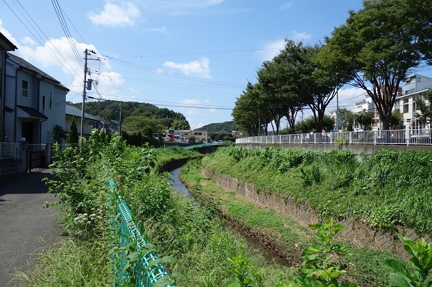 d0183387_12024240.jpg