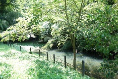 d0183387_12261262.jpg