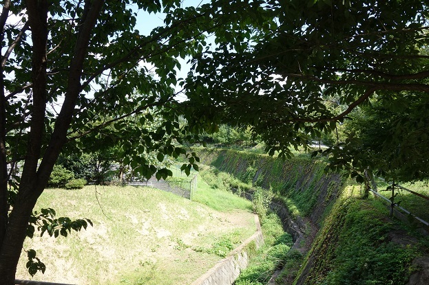 d0183387_15322113.jpg