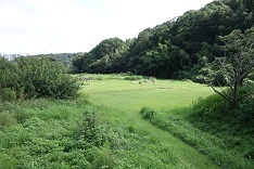 d0183387_16244159.jpg