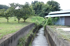 d0183387_16365248.jpg