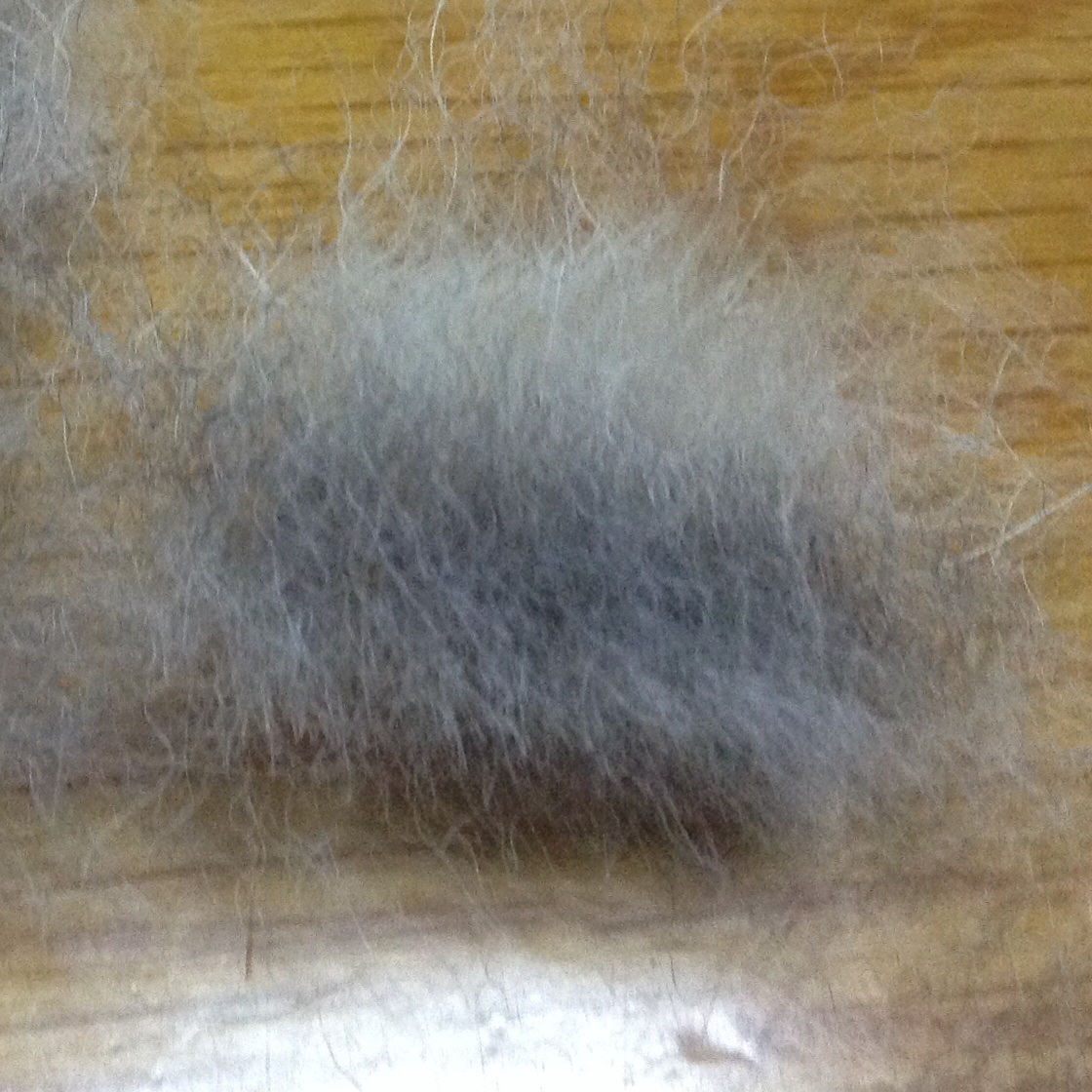 c0123890_20154672.jpg