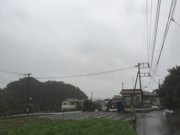 d0135694_02175448.jpg