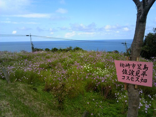 b0067795_2219551.jpg