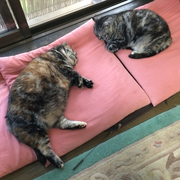 c0247096_22342420.jpeg