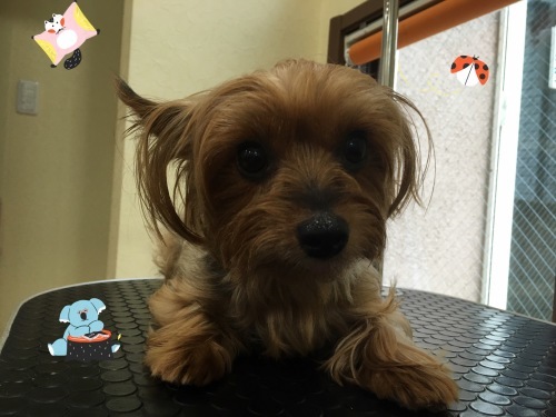 d0269898_12021760.jpeg