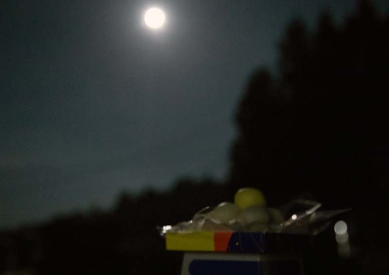 f0238398_09340120.jpg