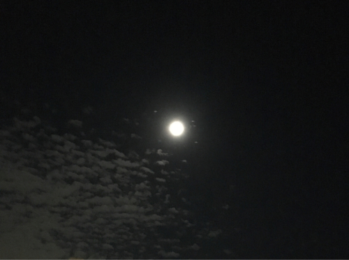 b0349003_22094318.jpg