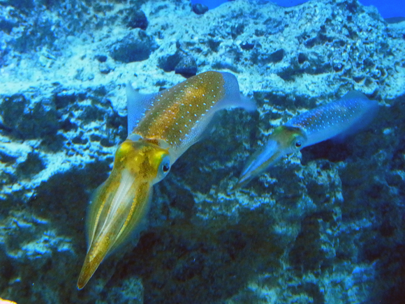 e0083517_02205453.jpg