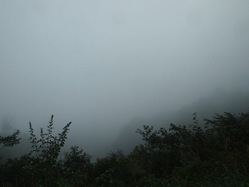 f0150918_14492421.jpg