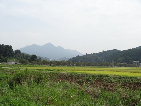 f0000521_542977.jpg