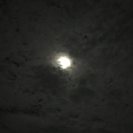 b0109423_22381398.jpg