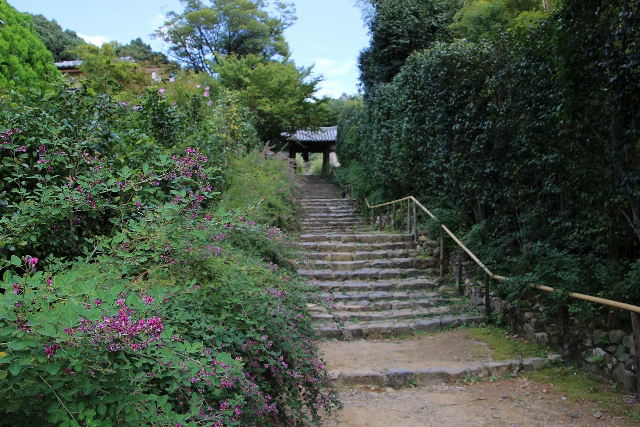 b0162728_2092866.jpg