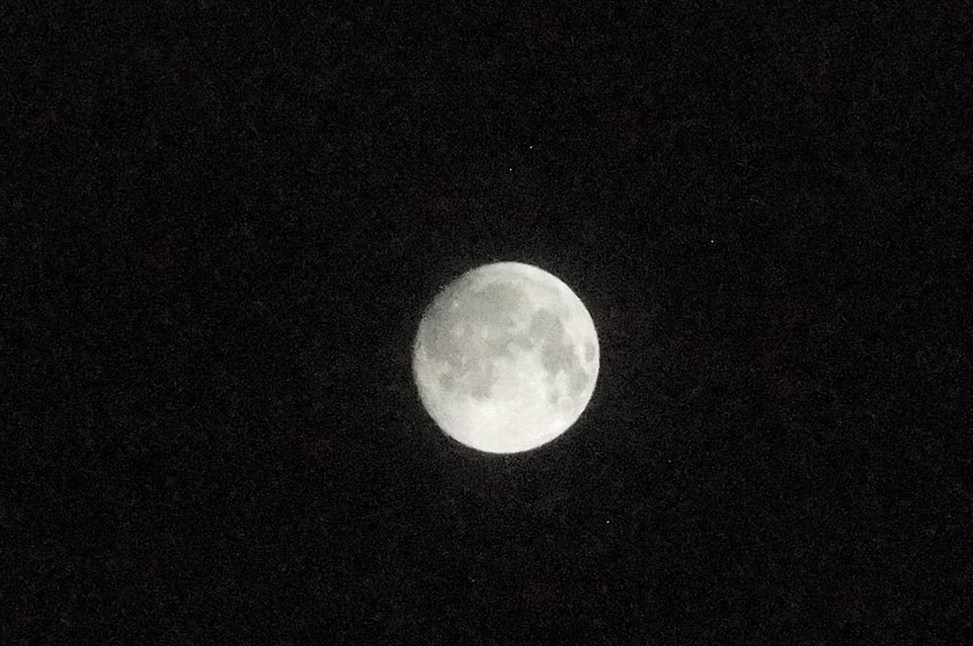 b0137932_2326366.jpg
