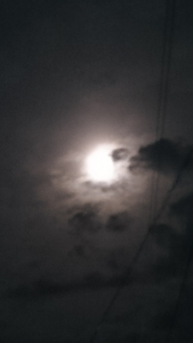 e0166734_20095761.jpg