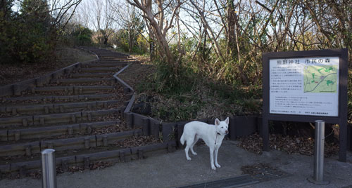 a0117039_2132327.jpg