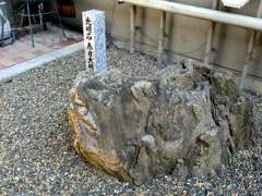 a0100742_12353447.jpg