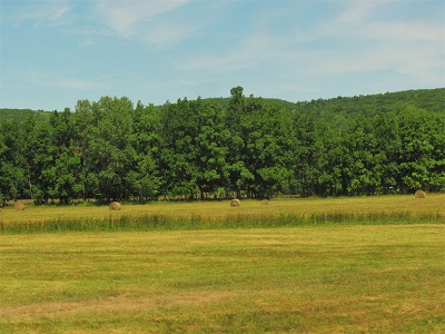 a0190056_5374078.jpg