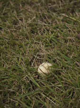 b0246758_11130151.jpg