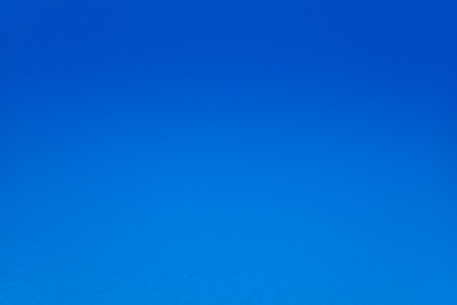 b0062363_21262079.jpg