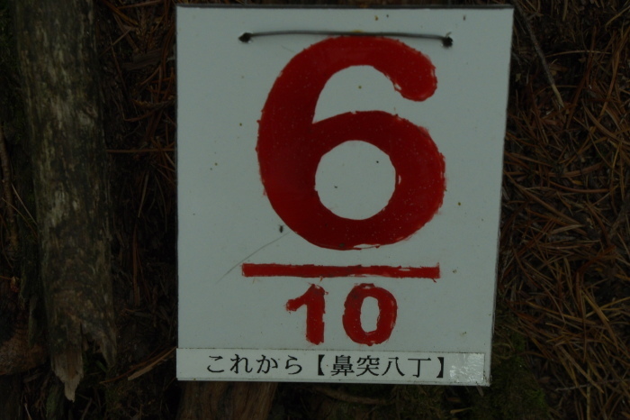 e0307372_11275138.jpg