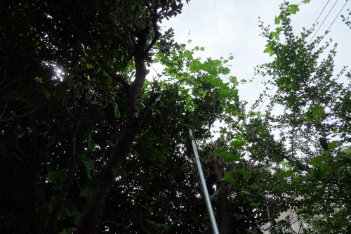 b0245877_14232964.jpg