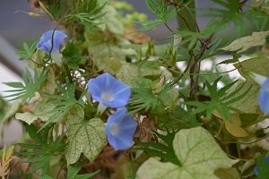 b0068780_22340313.jpg