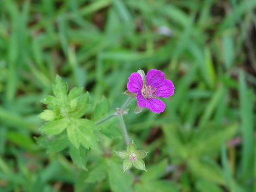 b0159780_10444297.jpg