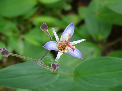 b0159780_10482081.jpg