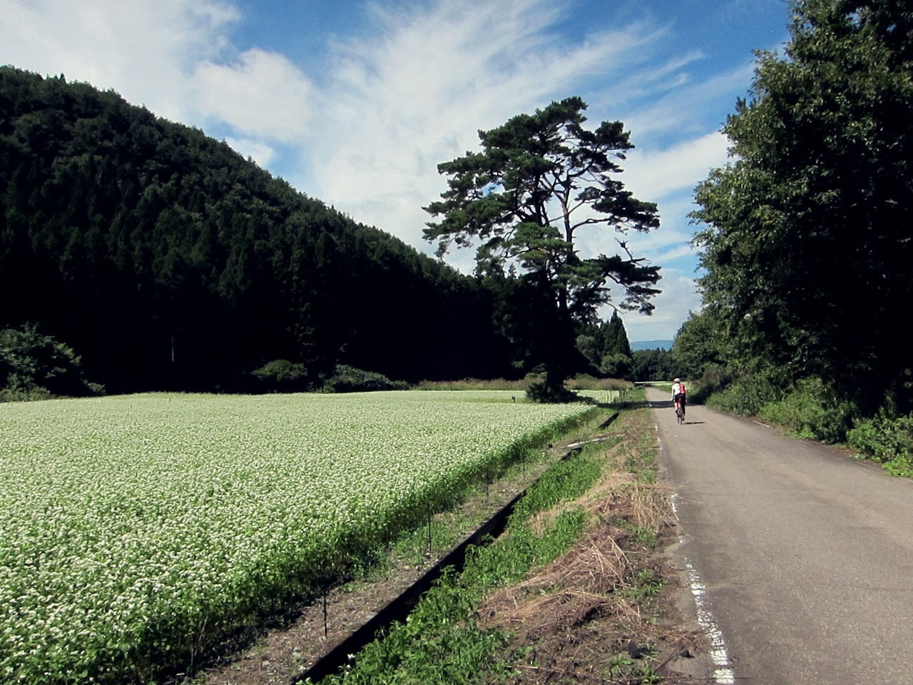 e0167780_20314366.jpg