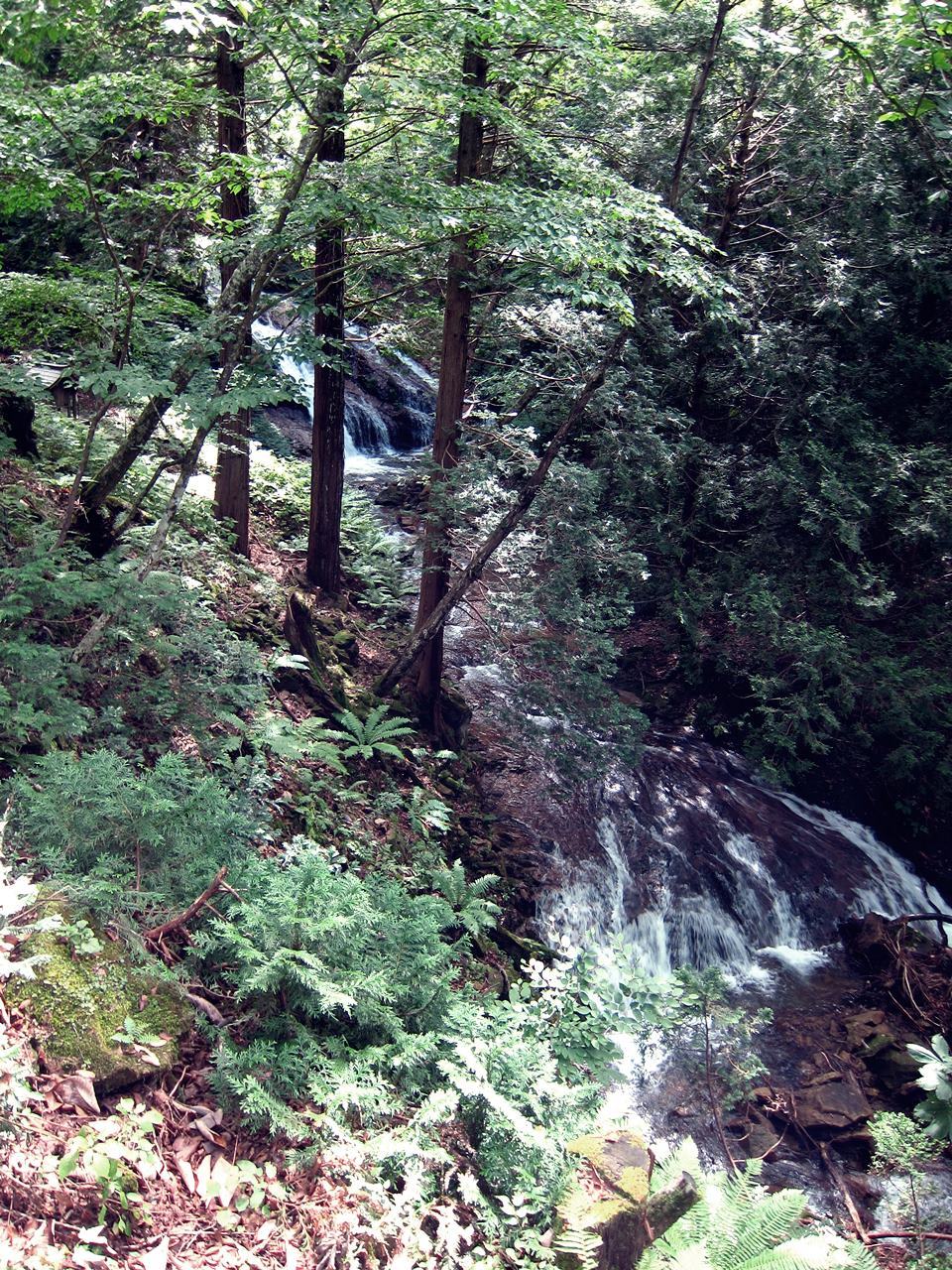 e0167780_20342758.jpg