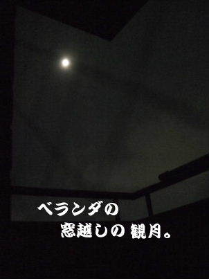 f0039281_22482087.jpg