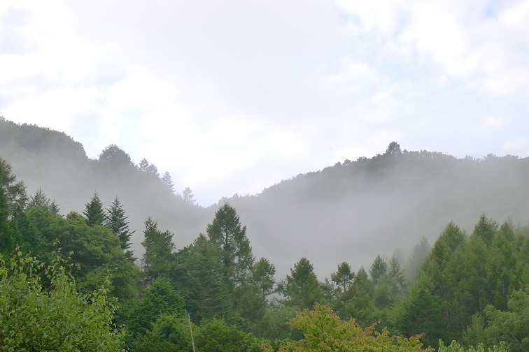 a0130586_65910100.jpg