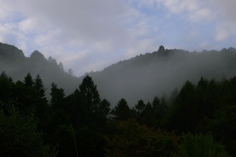a0130586_6594213.jpg