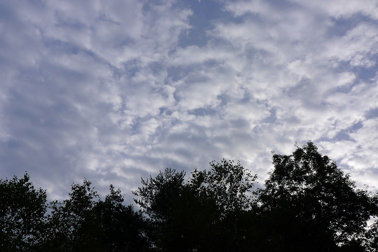 a0130586_701385.jpg