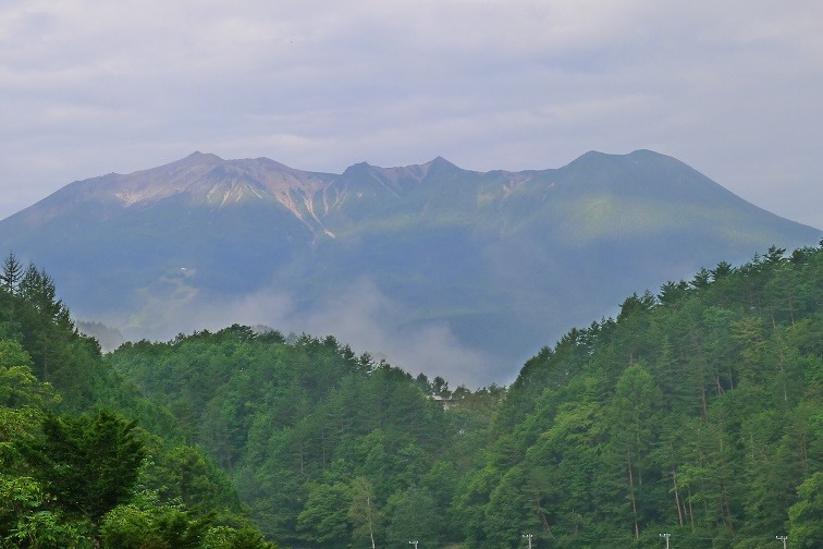a0130586_711636.jpg