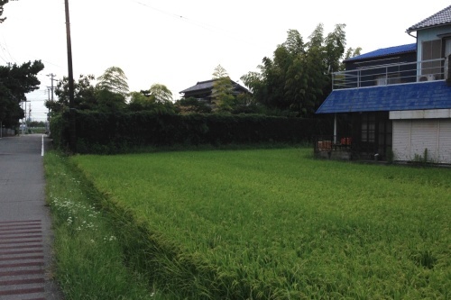 c0170789_08524325.jpg