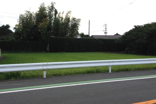 c0170789_08532771.jpg