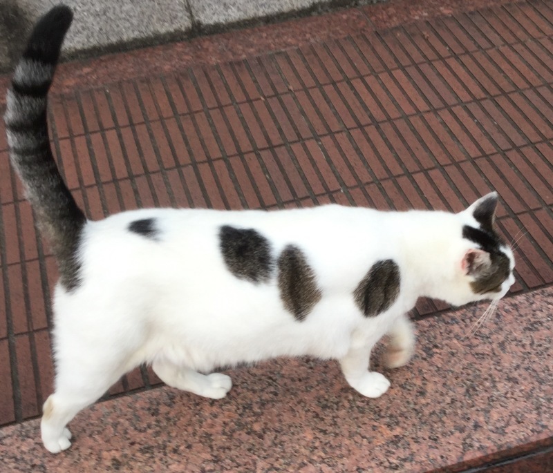 a0027290_18411934.jpeg