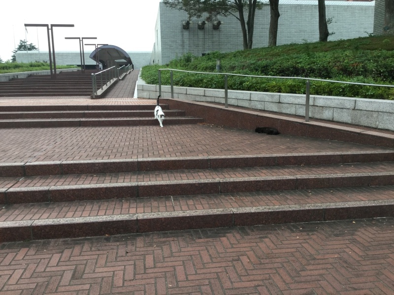 a0027290_18431486.jpeg